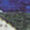 Poster Print Poster Print