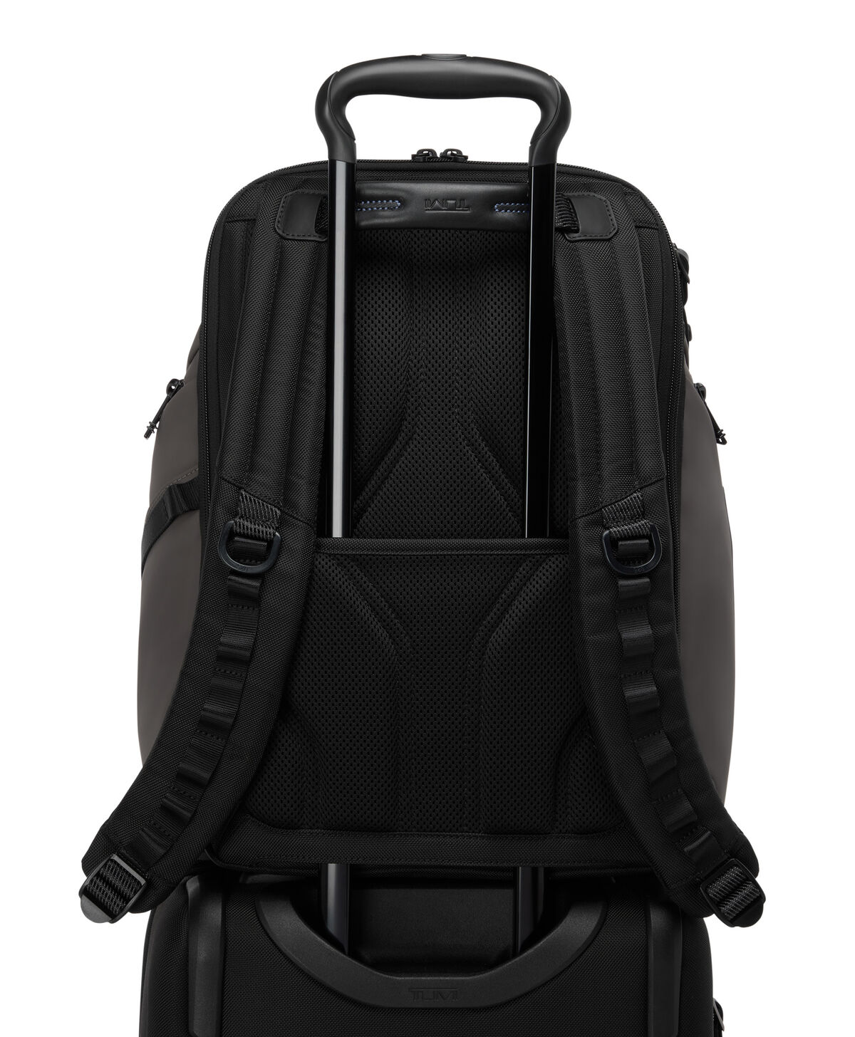 TUMI Search Backpack